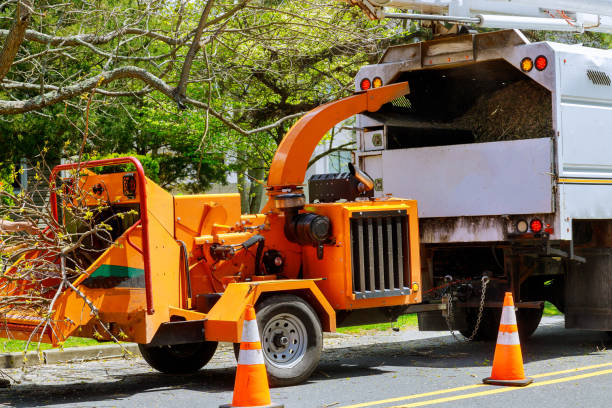 Best Hazardous Tree Removal  in Midway North, TX
