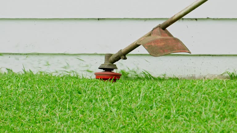 Best Sod Installation  in Midway North, TX