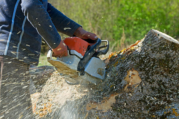 Mulching Services in Midway North, TX